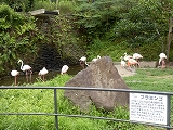 大崎自然公園